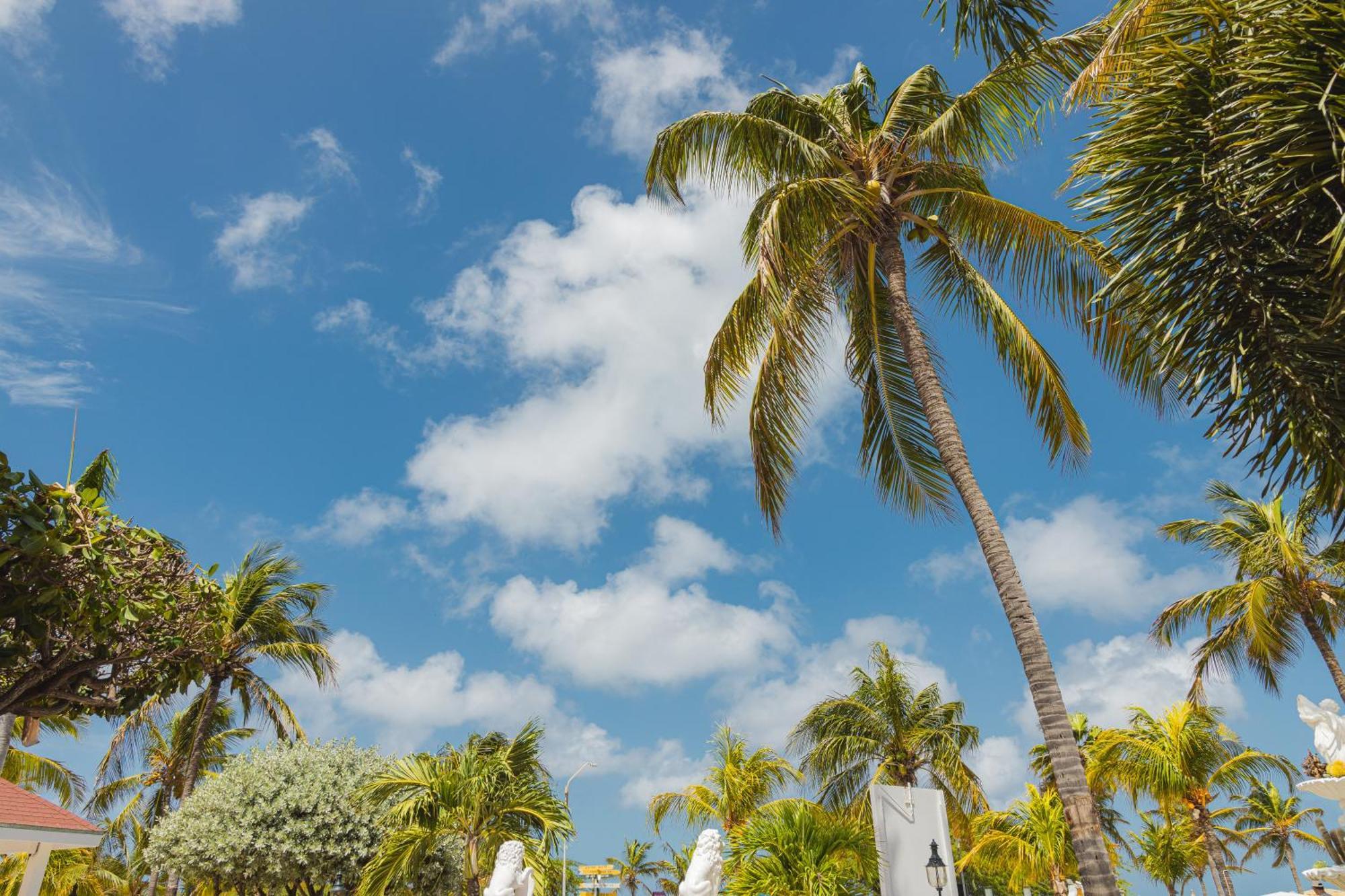 Amsterdam Manor Beach Resort Palm Beach Exterior photo