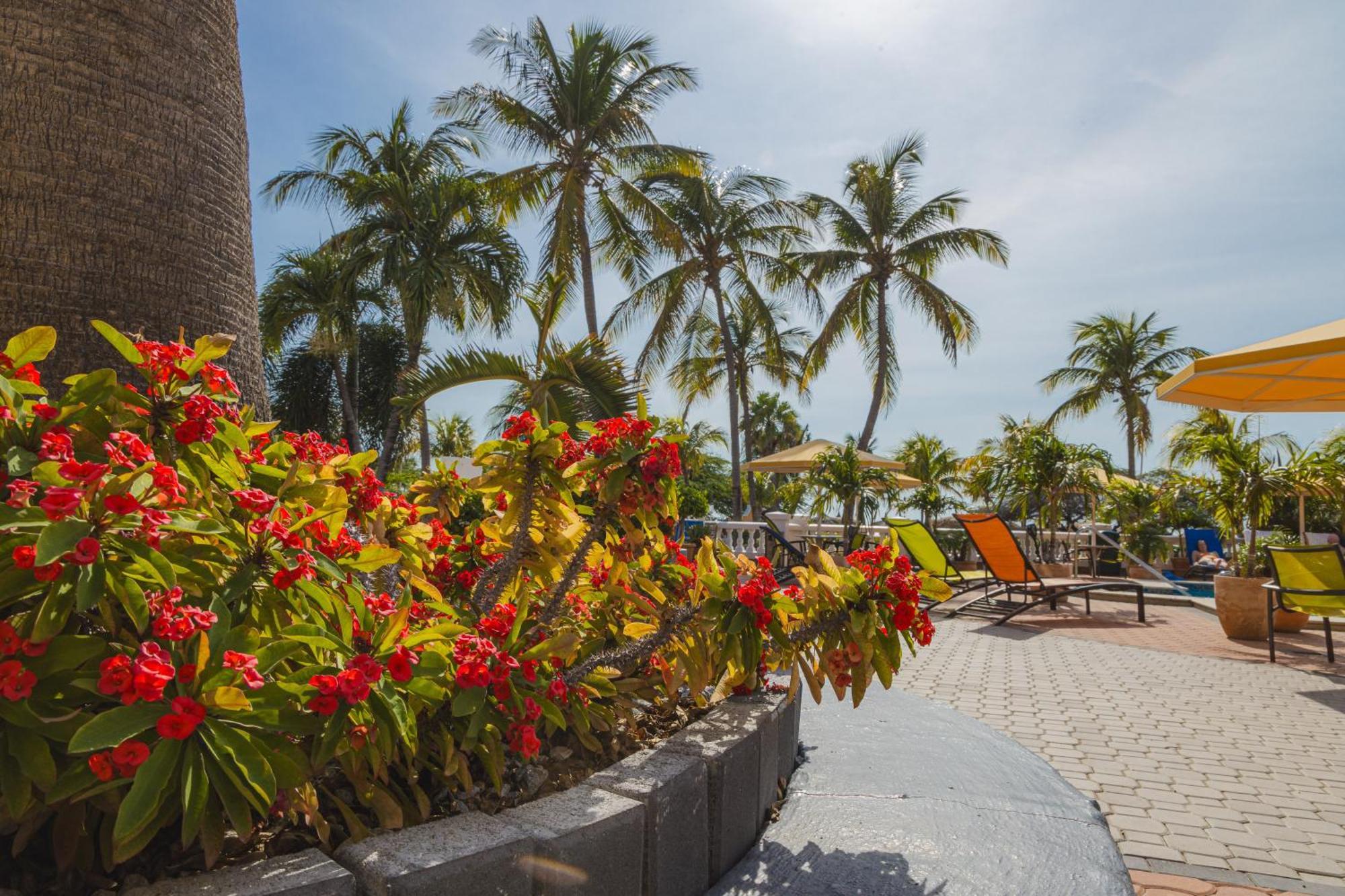 Amsterdam Manor Beach Resort Palm Beach Exterior photo