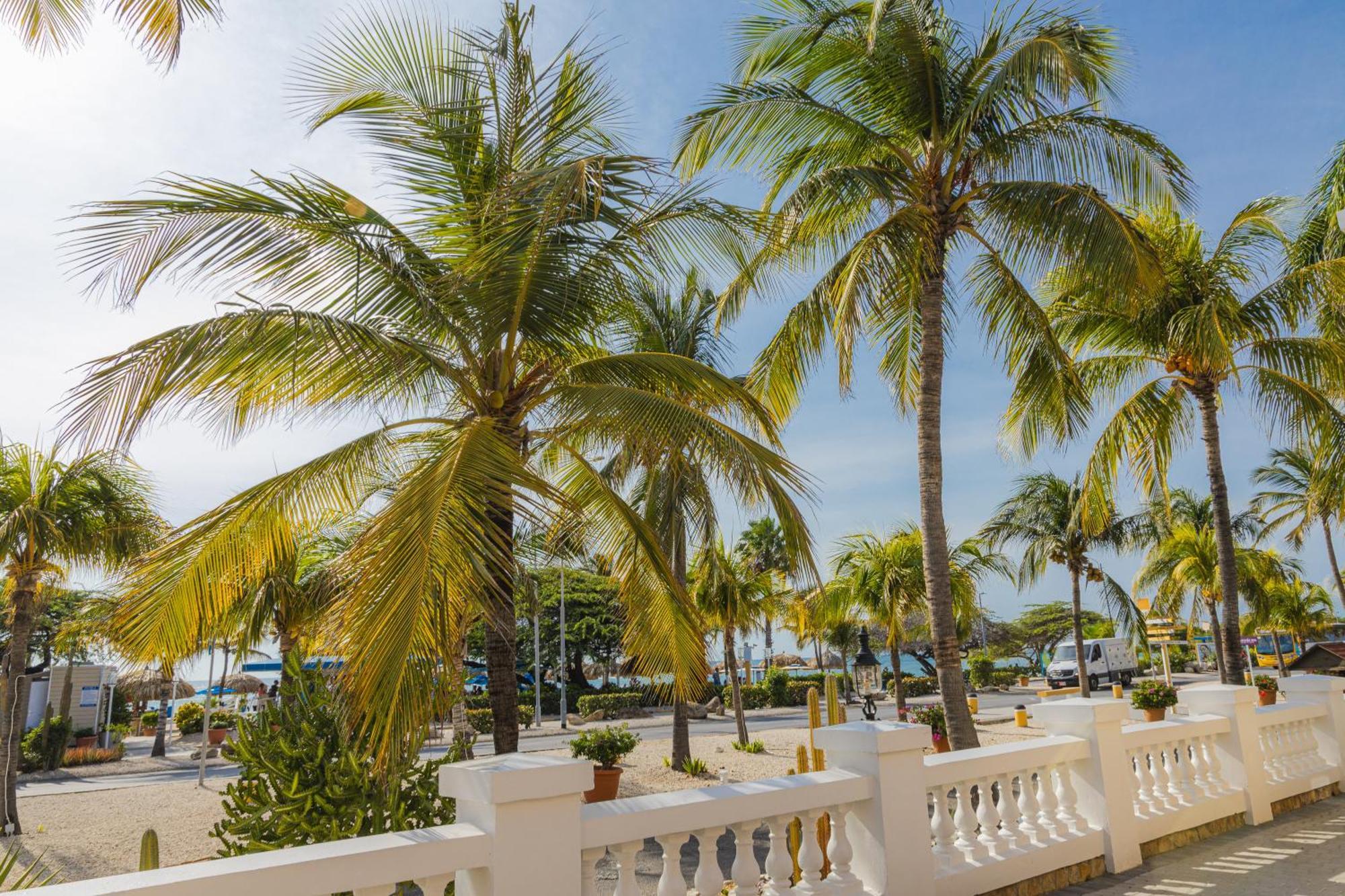 Amsterdam Manor Beach Resort Palm Beach Exterior photo